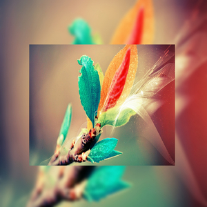 91视频兑换码激活码2023,6月
