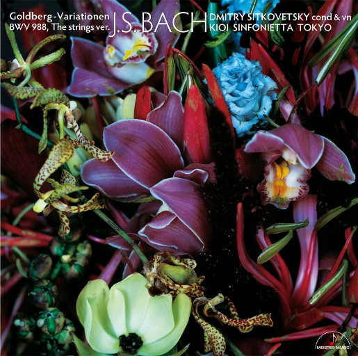 91视频兑换码激活码2023,6月
